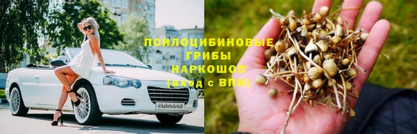 гидра Нея